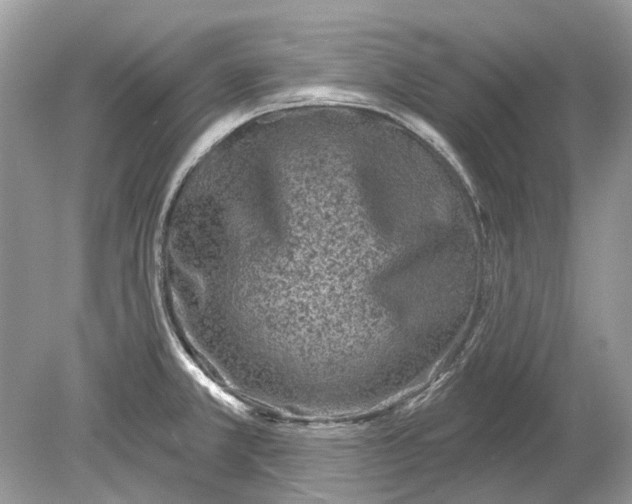 X0000078891381200612042039