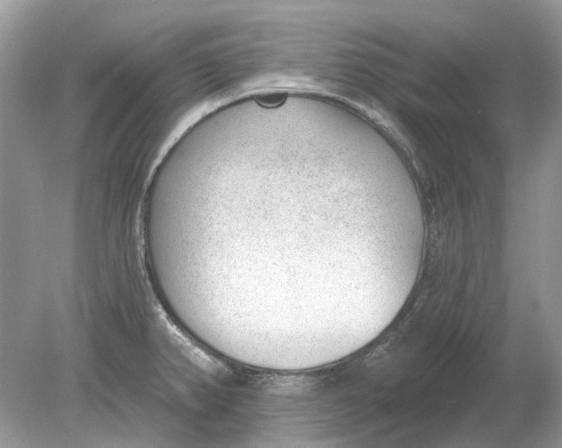 X0000078891382200612042039