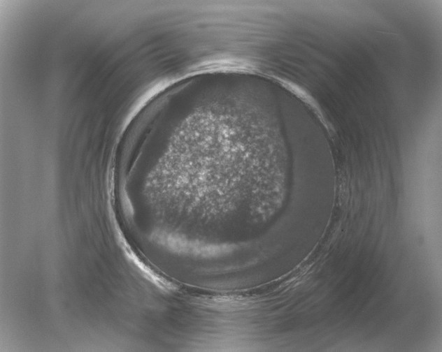 X0000078891383200612042039