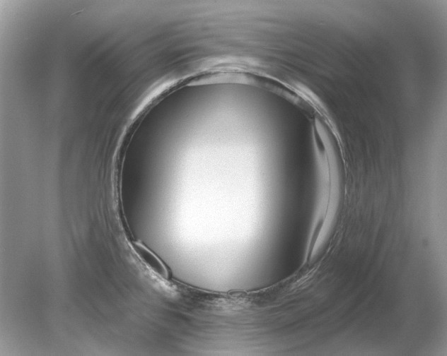 X0000078891384200612042039