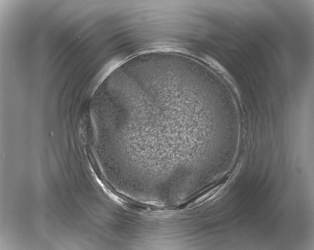 X0000078891385200612042039