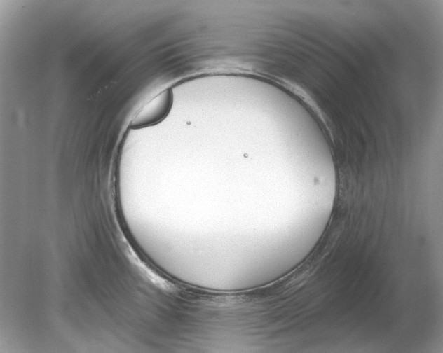 X0000078891387200612042039