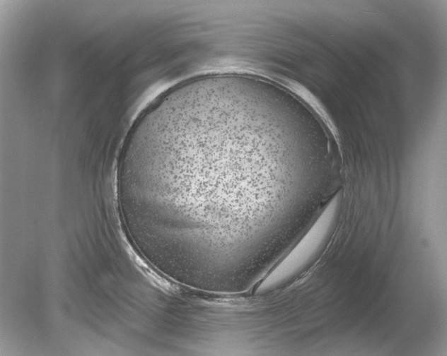 X0000078891388200612042039