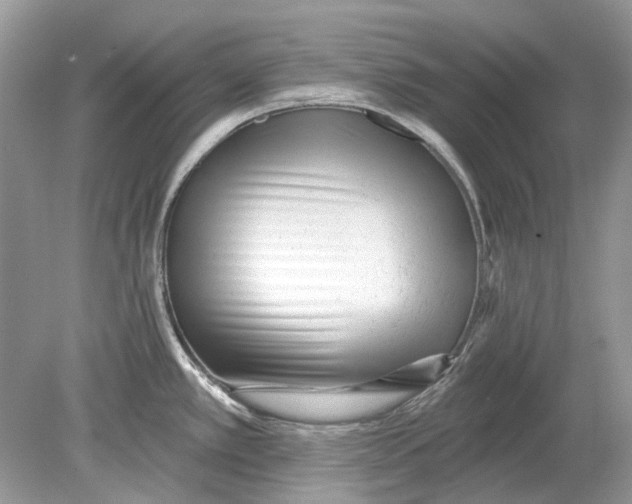 X0000078891389200612042039