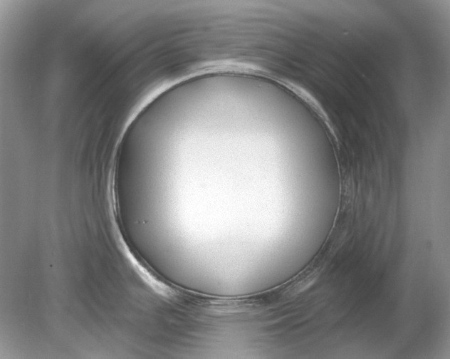 X0000078891391200612042039