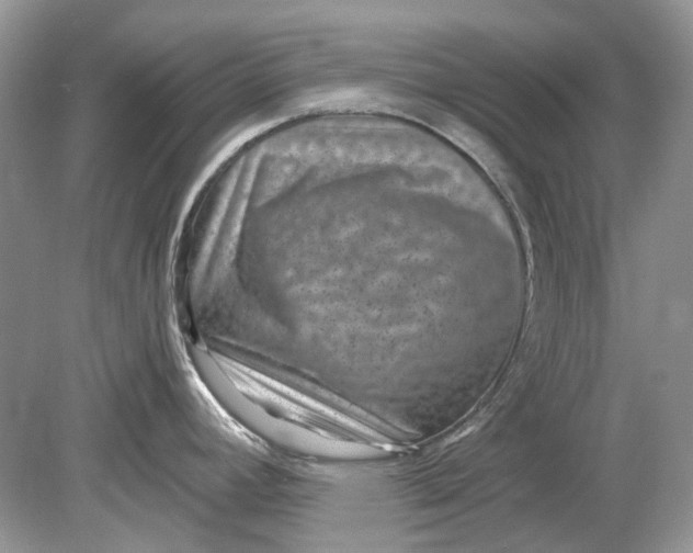 X0000078891392200612042039