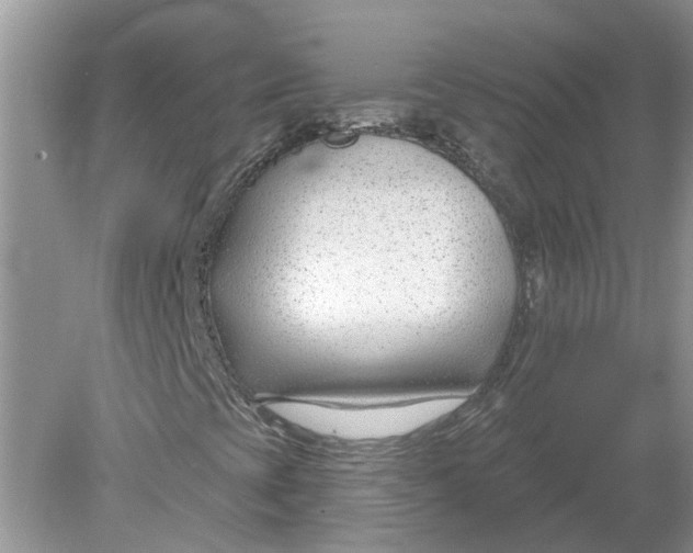 X0000078891393200612042038