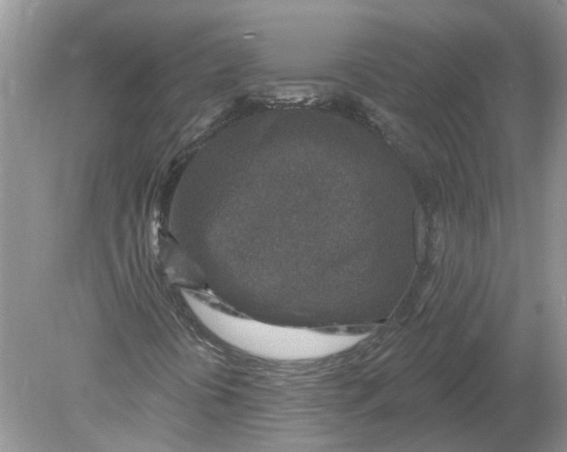 X0000078891394200612042038