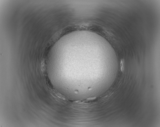 X0000078891395200612042038