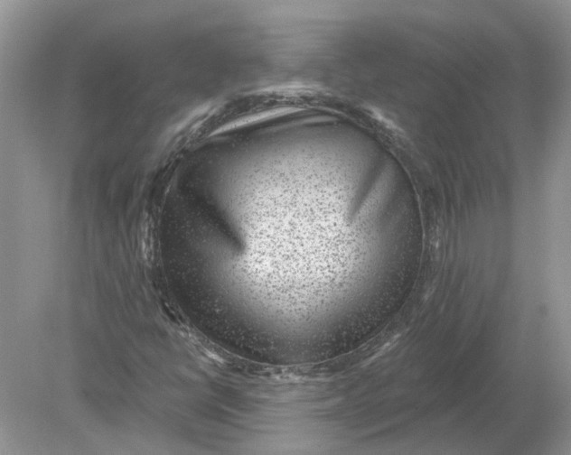 X0000078891398200612042038