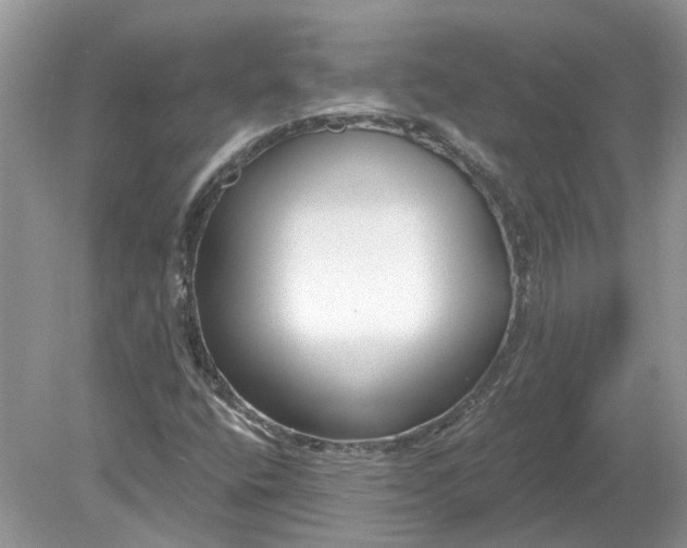 X0000078891400200612042038