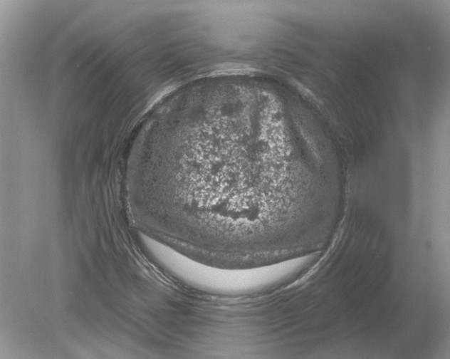 X0000078891401200612042038