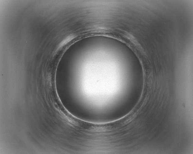 X0000078891402200612042038