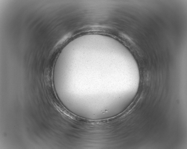 X0000078891403200612042038