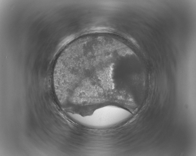 X0000078891405200612042038