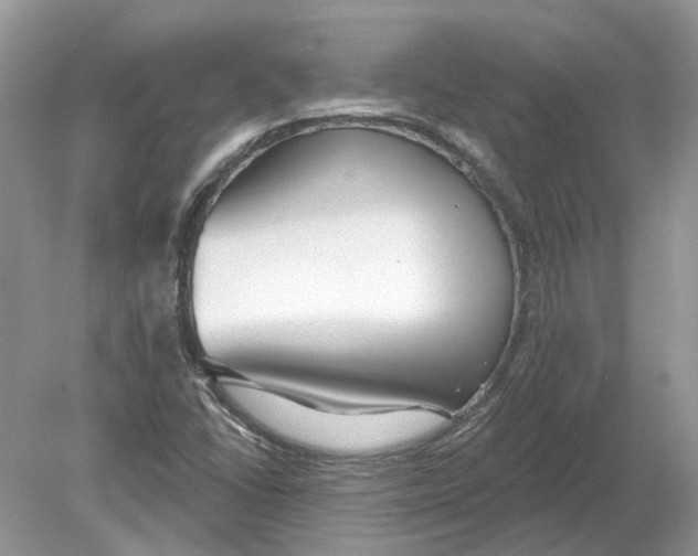 X0000078891406200612042038