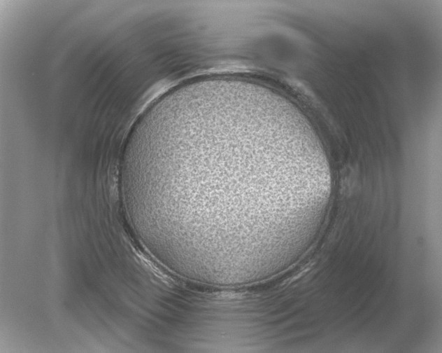 X0000078891409200612042038