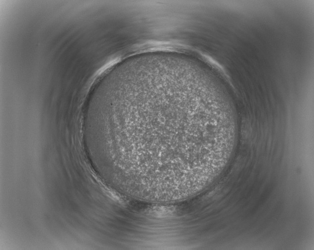 X0000078891411200612042038