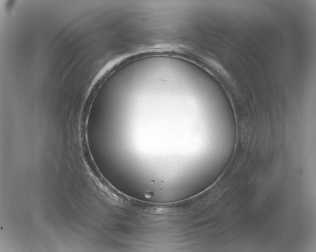 X0000078891412200612042038