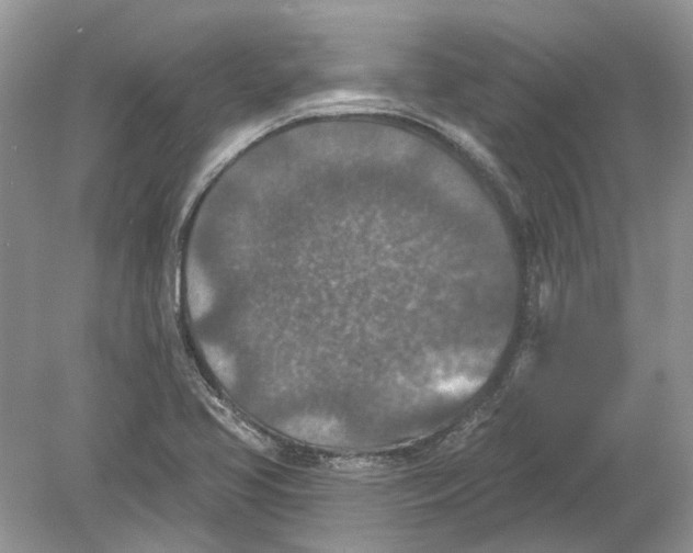 X0000078891413200612042038