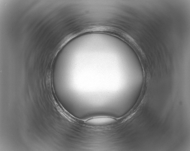 X0000078891417200612042038