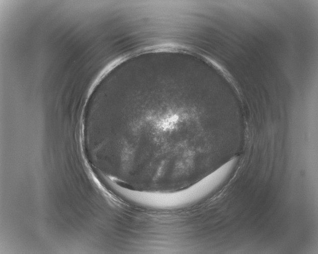 X0000078891418200612042038