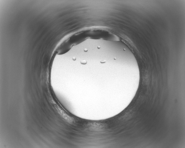 X0000078891420200612042038