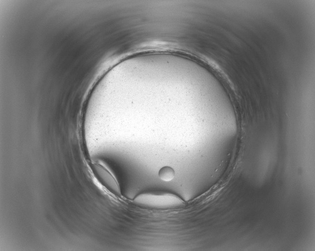 X0000078891421200612042038