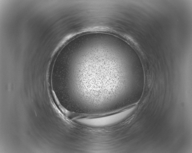 X0000078891422200612042038