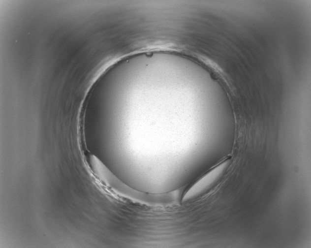 X0000078891423200612042038