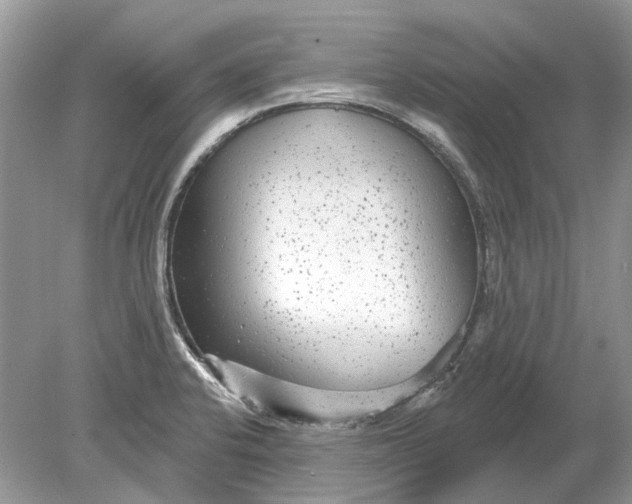 X0000078891424200612042038