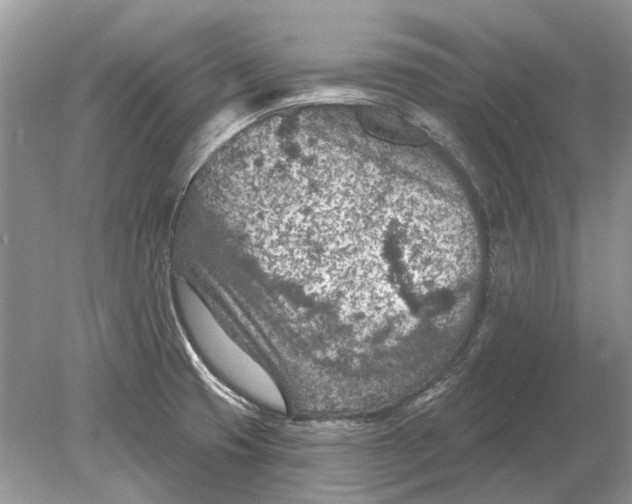 X0000078891425200612042038