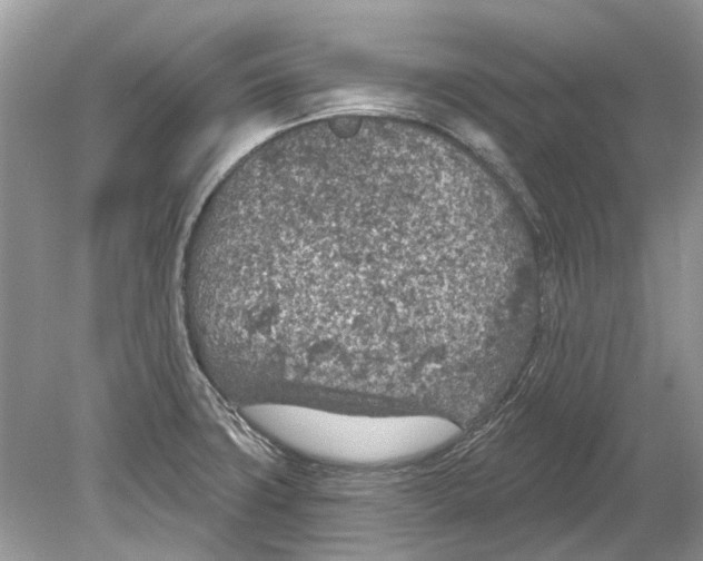 X0000078891427200612042038