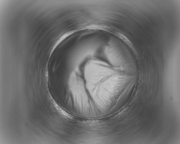 X0000078891428200612042038