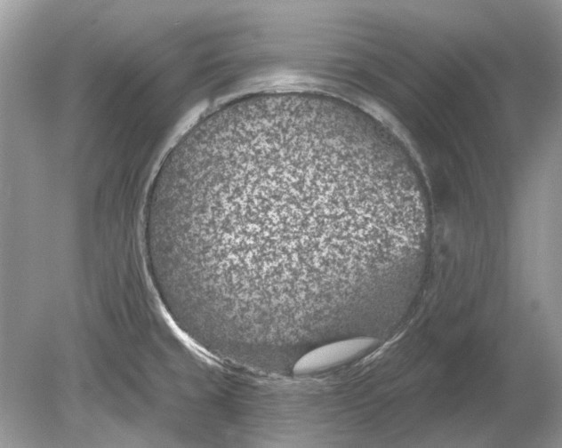 X0000078891429200612042038