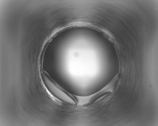 X0000078891430200612042038