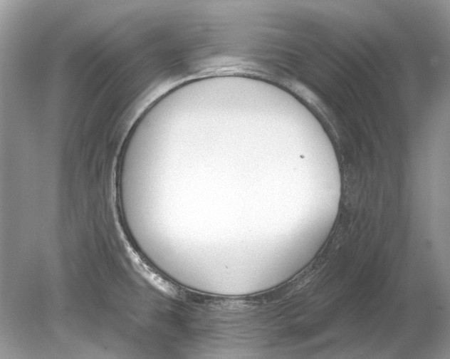 X0000078891431200612042038