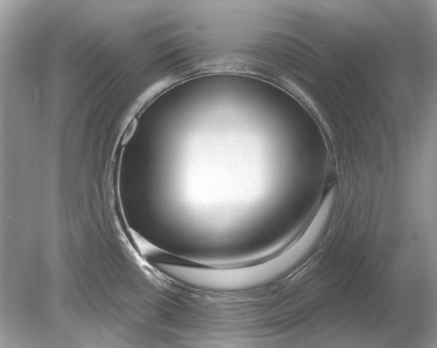 X0000078891434200612042039