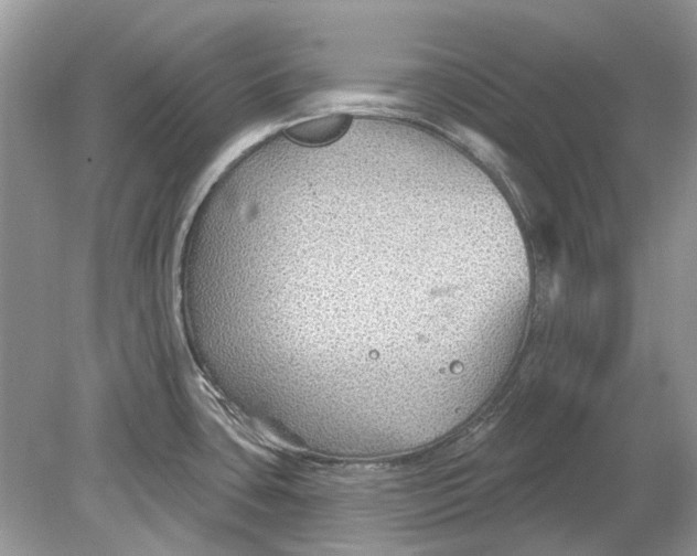 X0000078891435200612042039