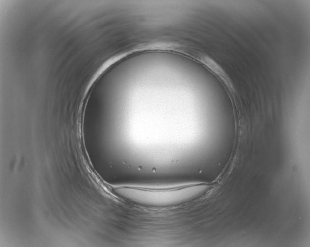 X0000078891436200612042039