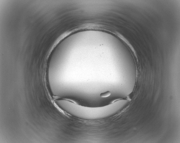 X0000078891437200612042039