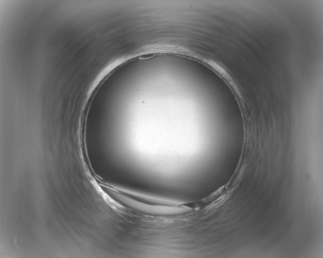 X0000078891438200612042039