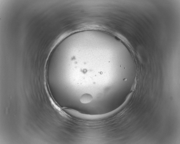 X0000078891439200612042039