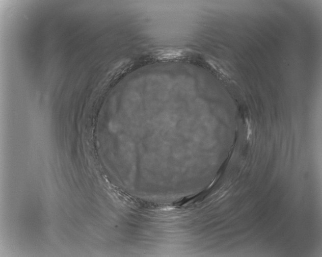 X0000078891441200612042038