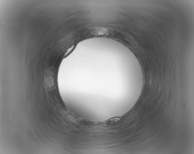 X0000078891442200612042038