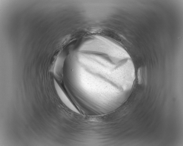 X0000078891443200612042038