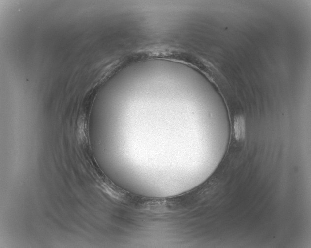 X0000078891444200612042038