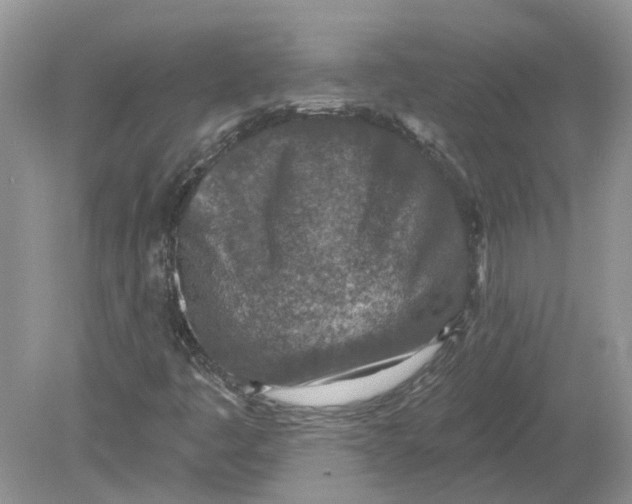 X0000078891445200612042038