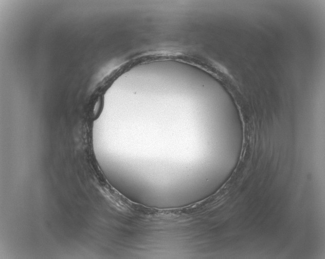 X0000078891448200612042038