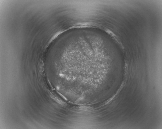 X0000078891449200612042038